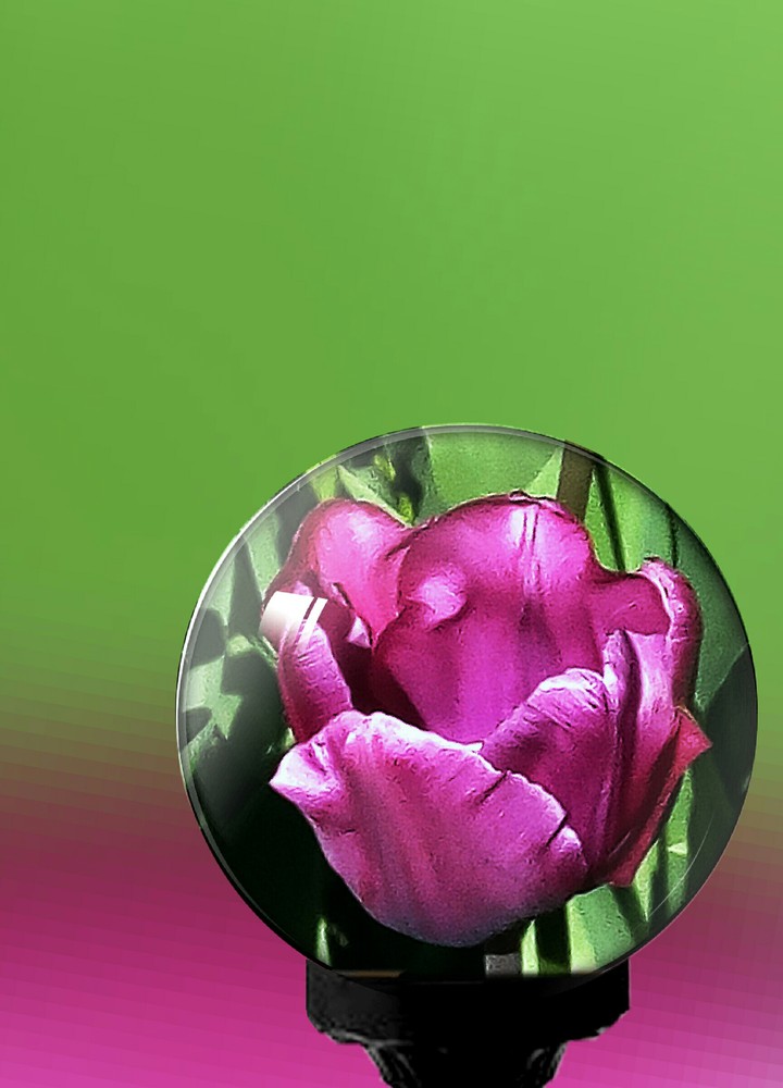 rosa auf grün