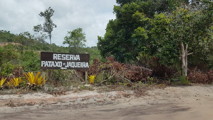 Brasile