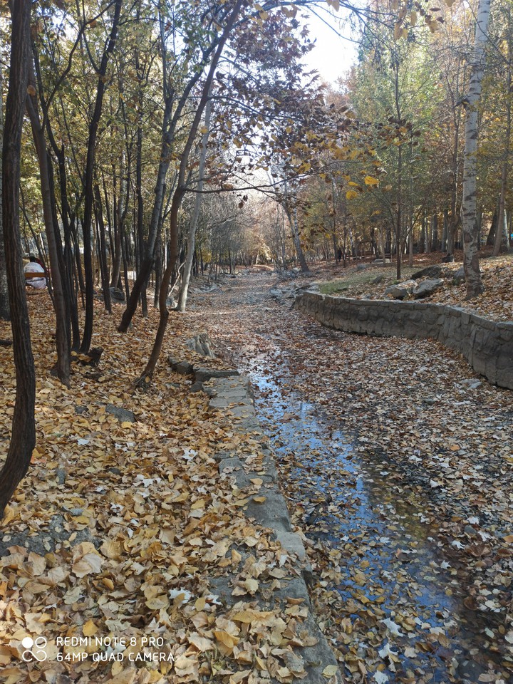 #fall