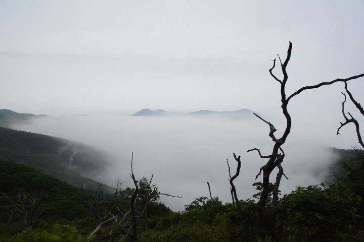 함백산이미지