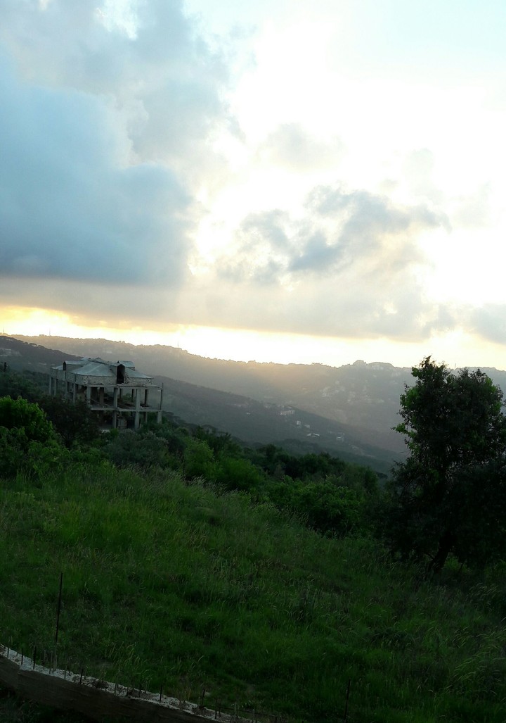 sunlight