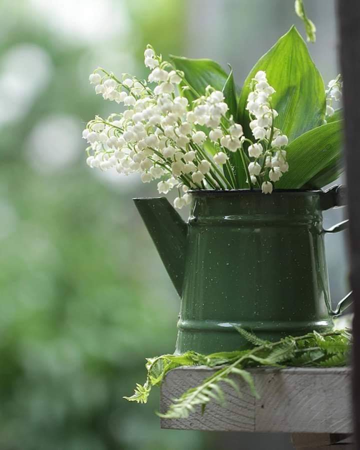 ♥