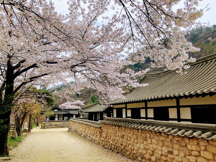 Korea Traditional Fork Village