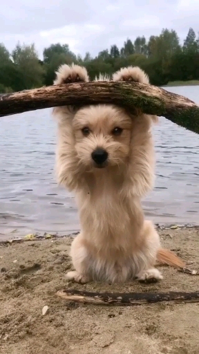 ??