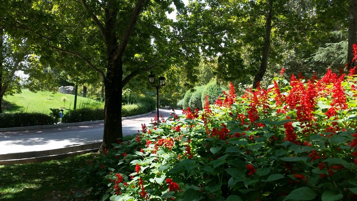 MELLAT PARK