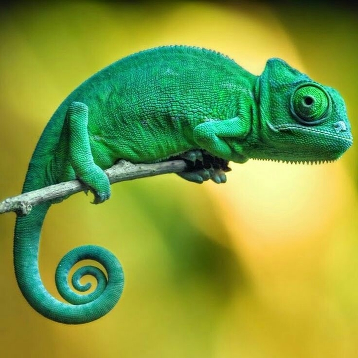 naturaleza