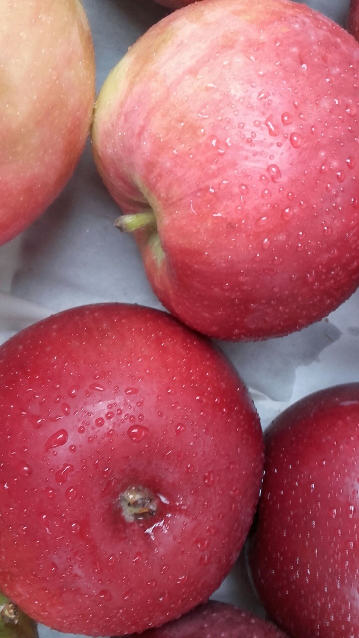 . apple