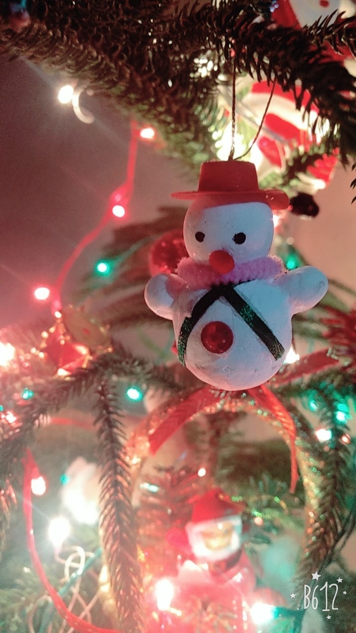 merry Christmas
