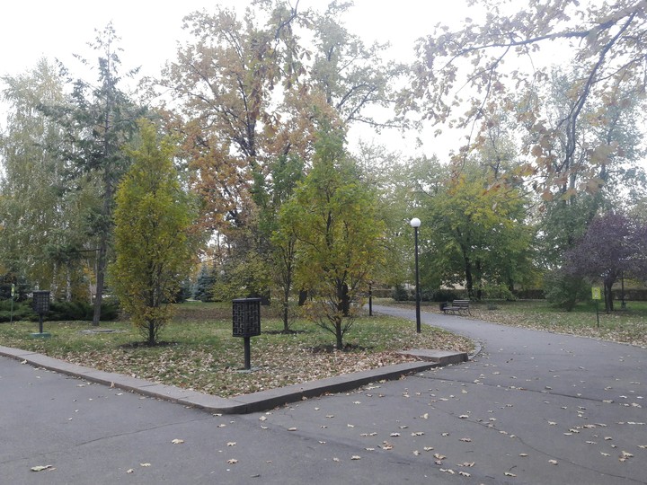 autumn