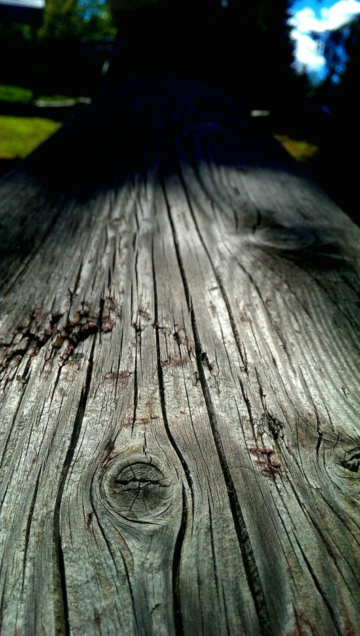 Wood and macro