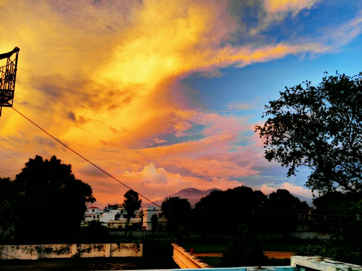 Landscape
