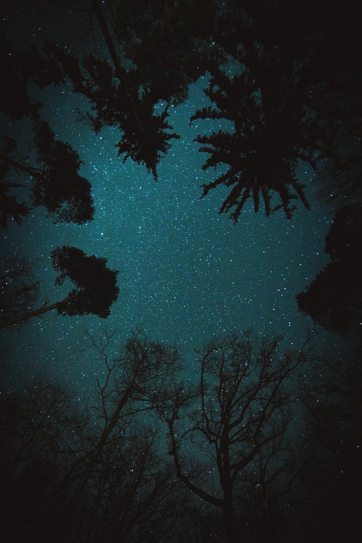 skynight