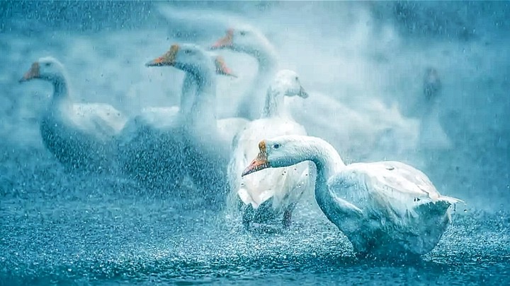Drizzle