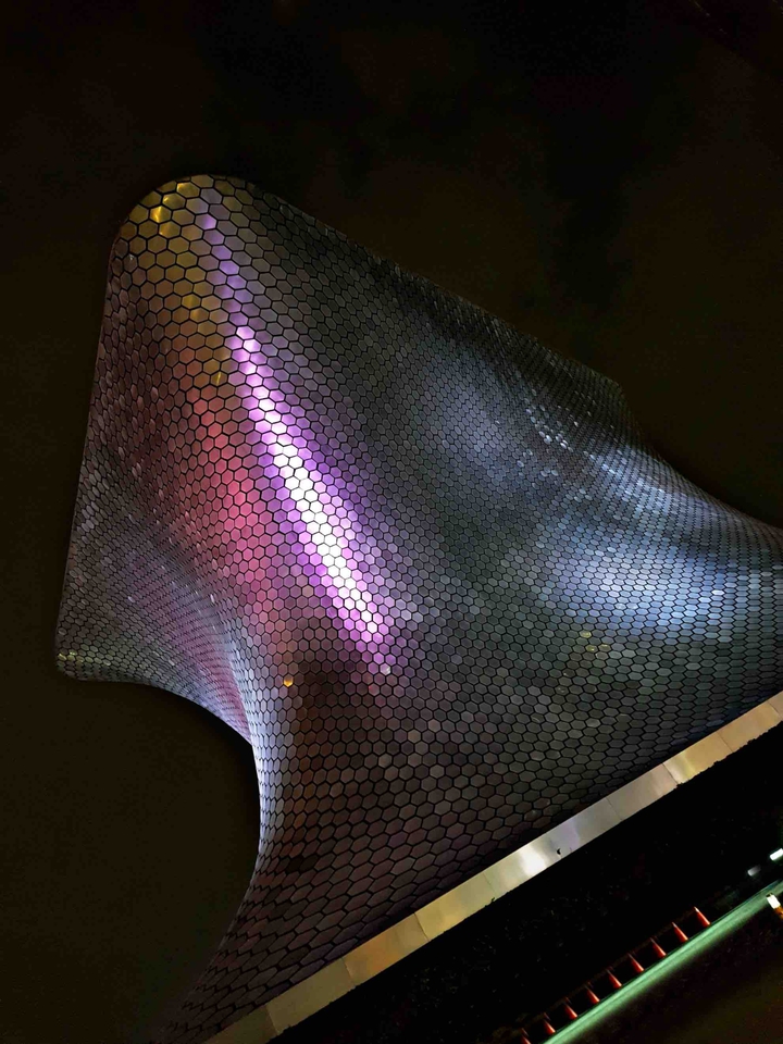 soumaya