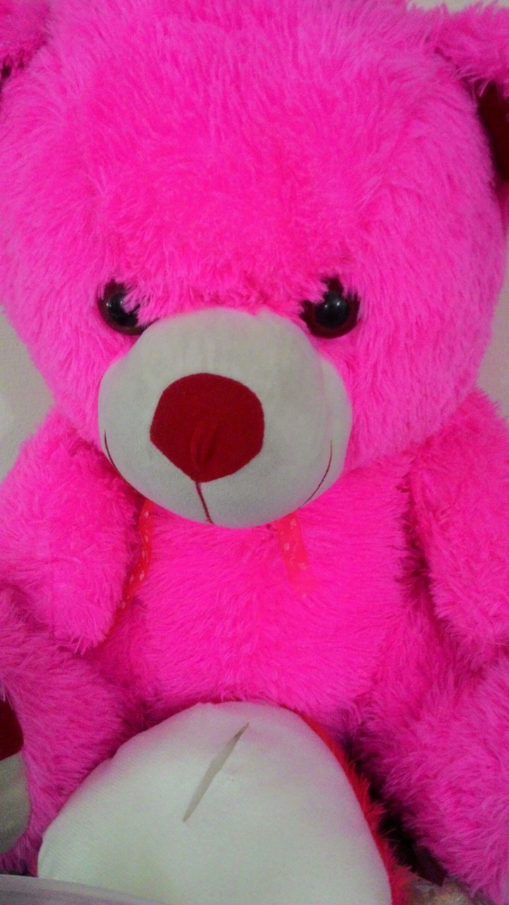 teddy