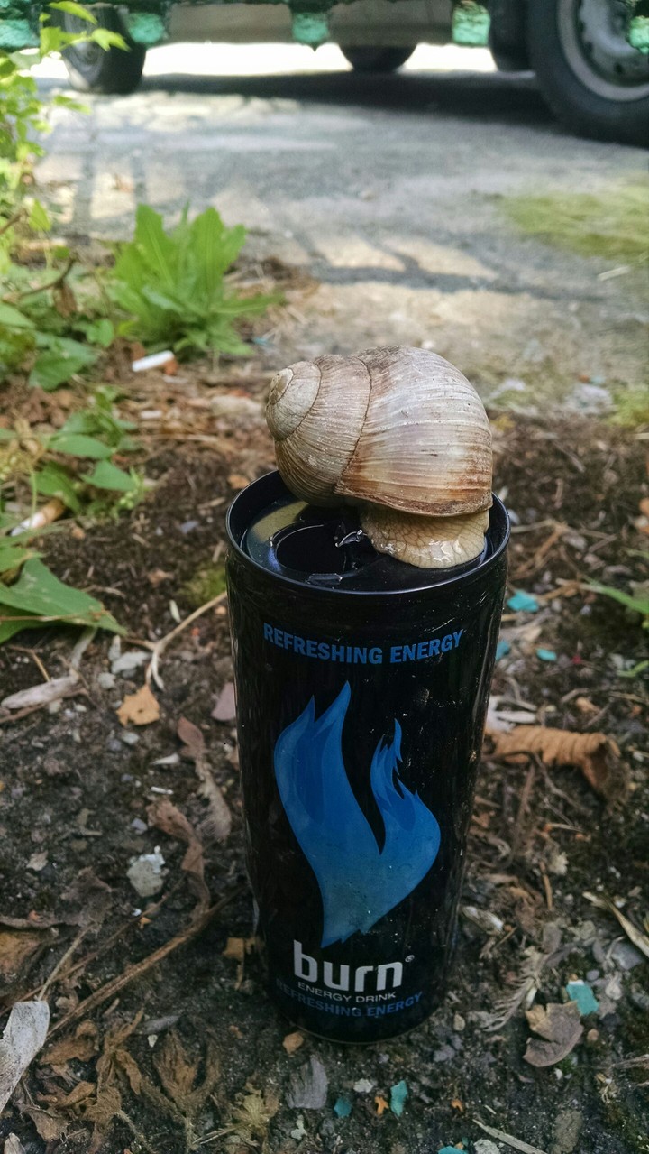 по