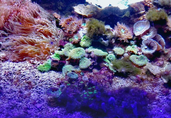 Underwater