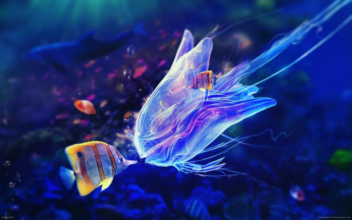 Under water fantasy