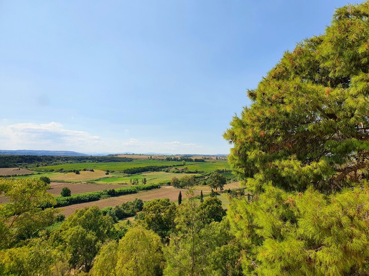 campagna