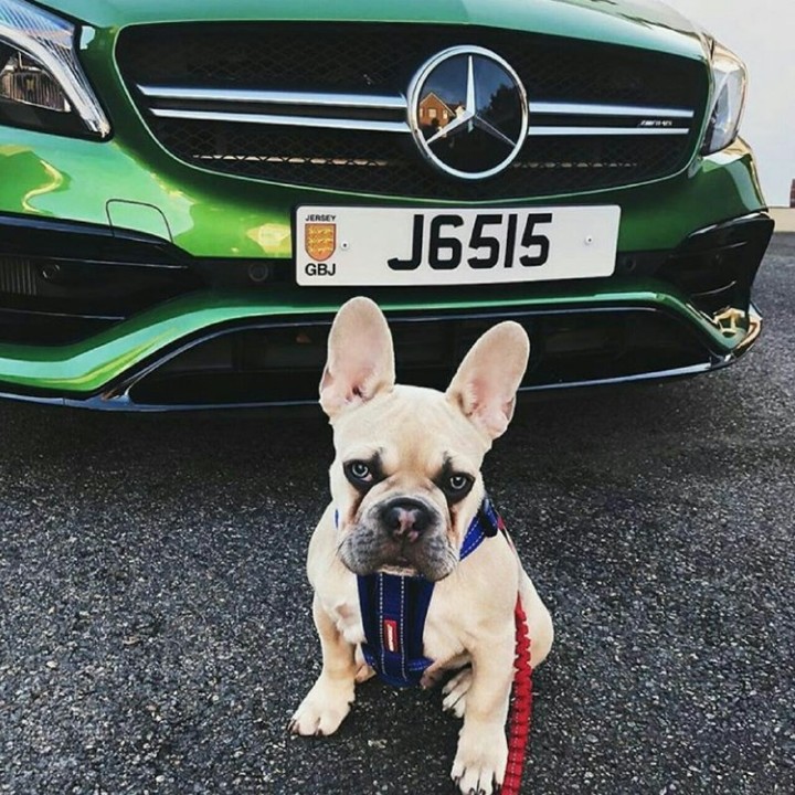 benz