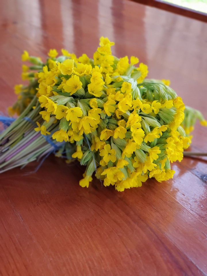 flowers