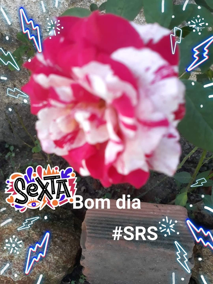 #SRS
