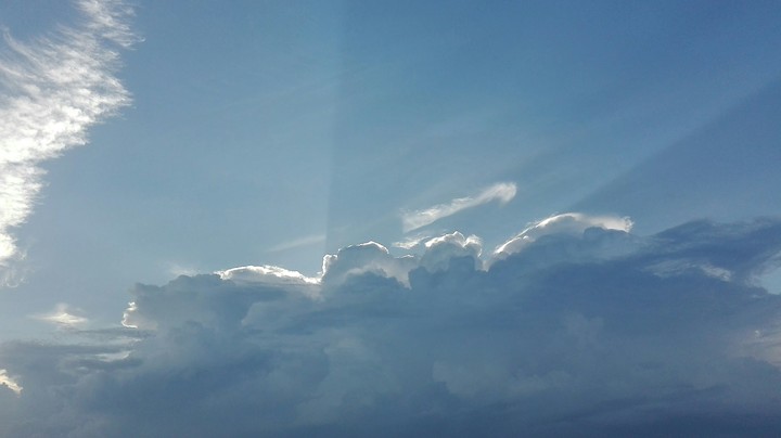 the cloudy day