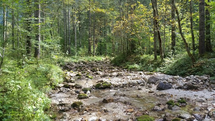 Obertraun Austria
