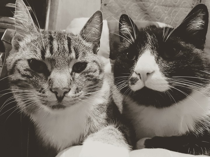 We are brothers