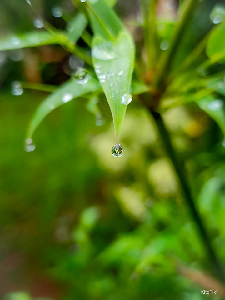 water drop