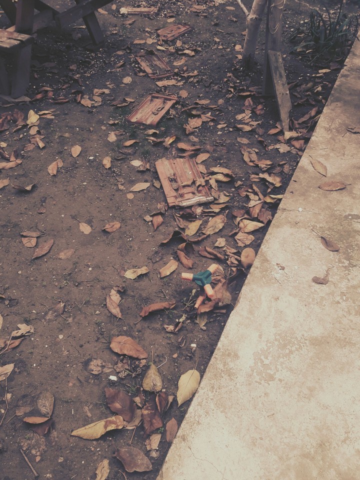 autumn