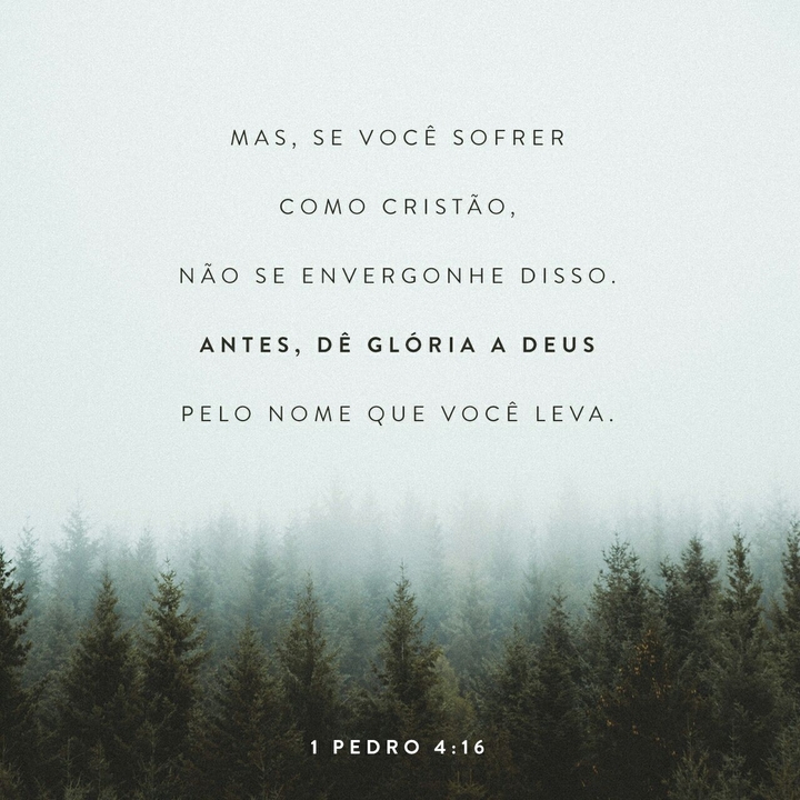 bíblia