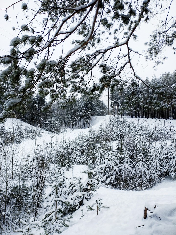 winter