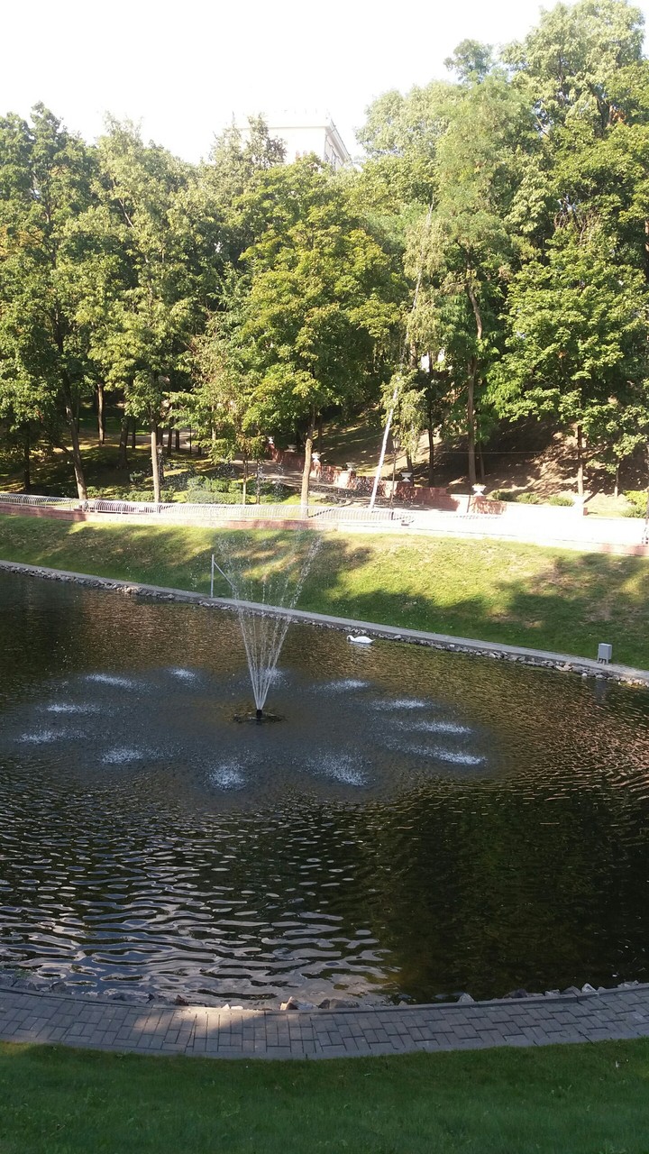 Pond