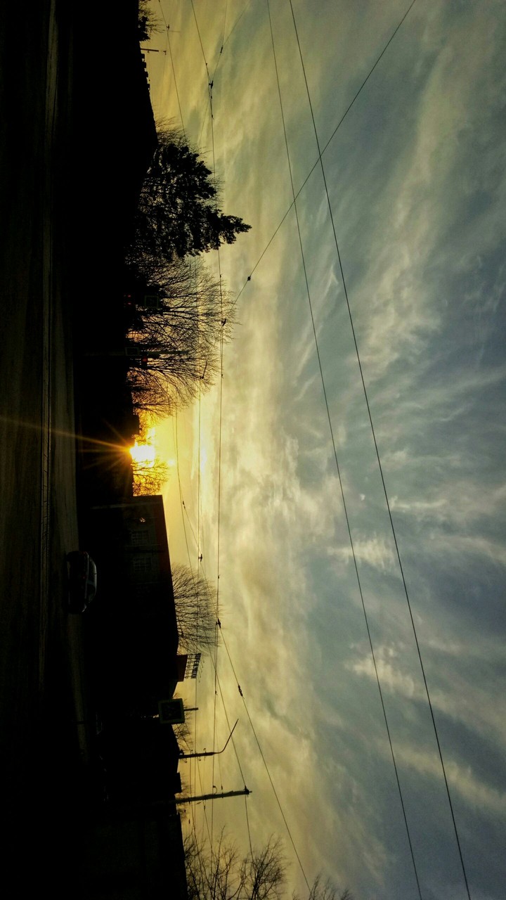 Sunlight