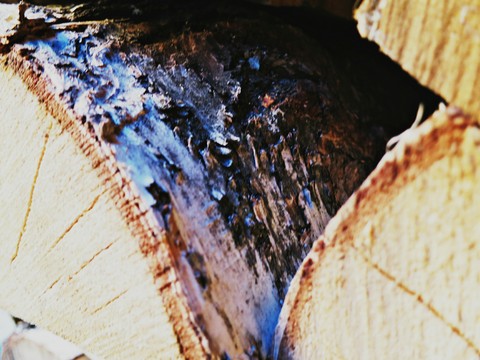 firewood