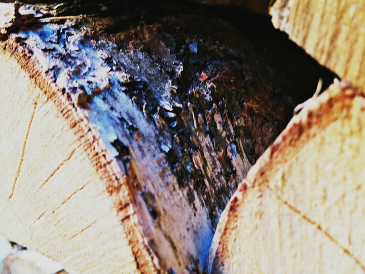 firewood