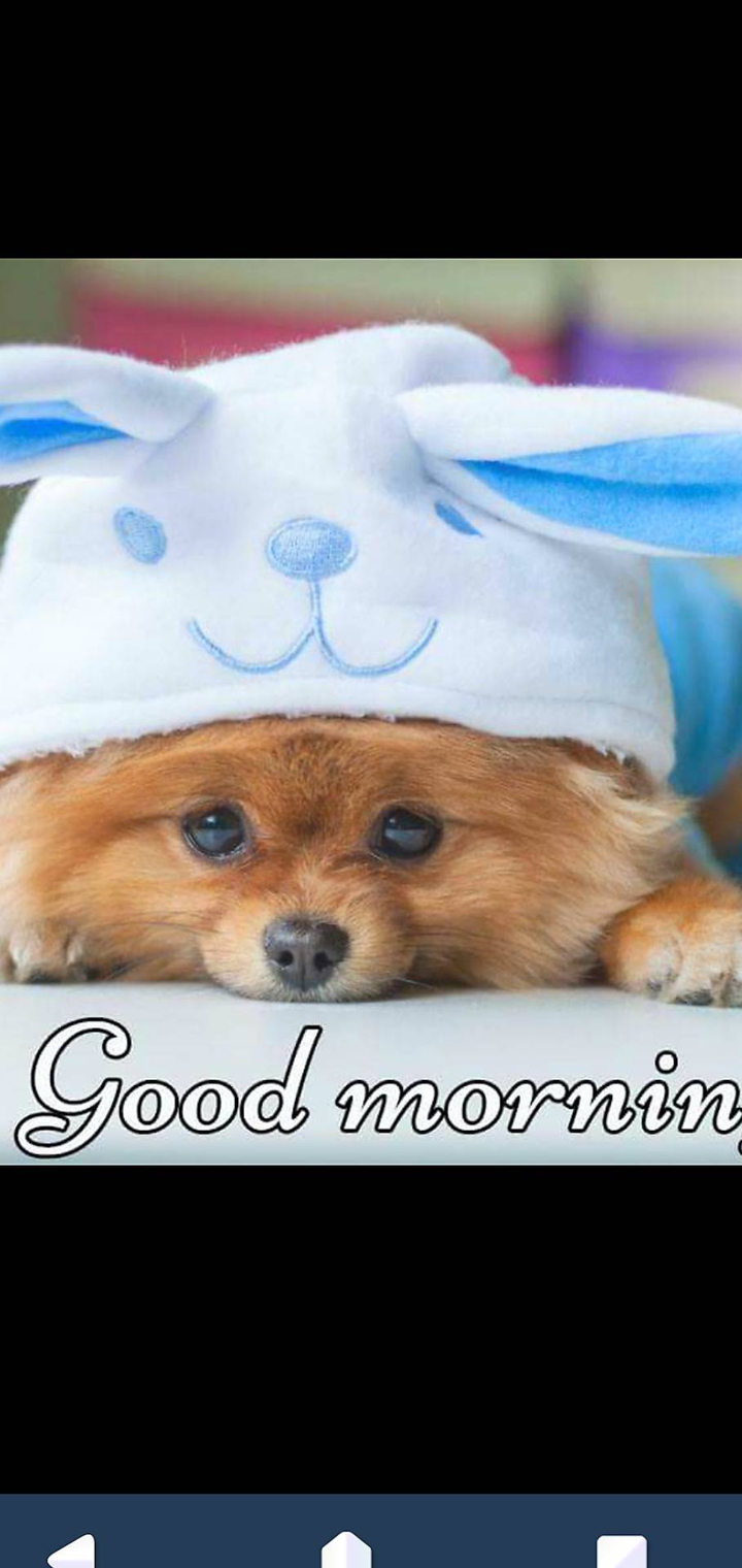 guten Morgen