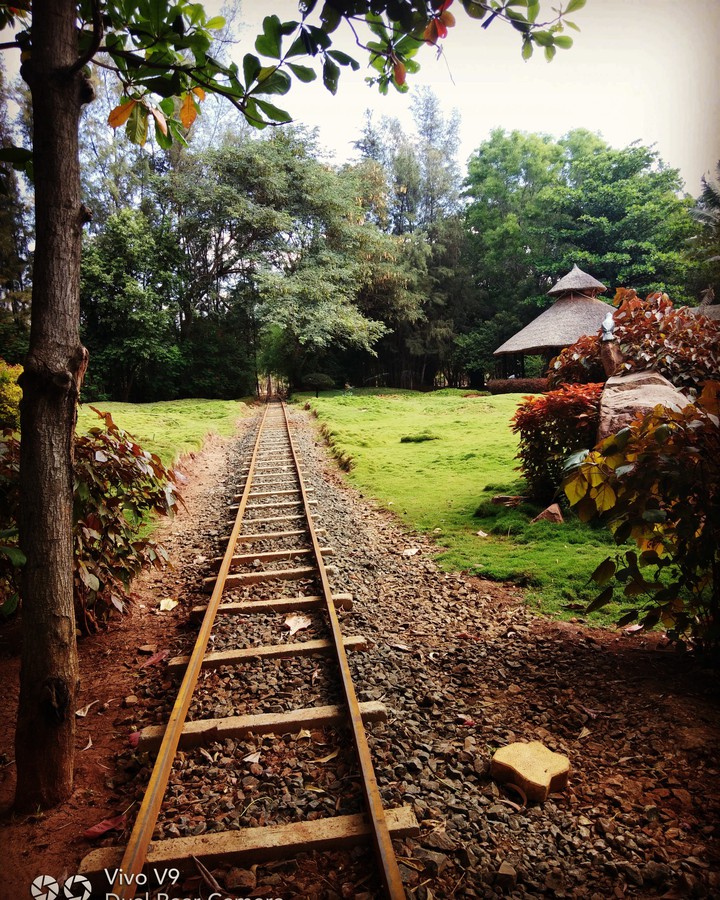 The Natural View