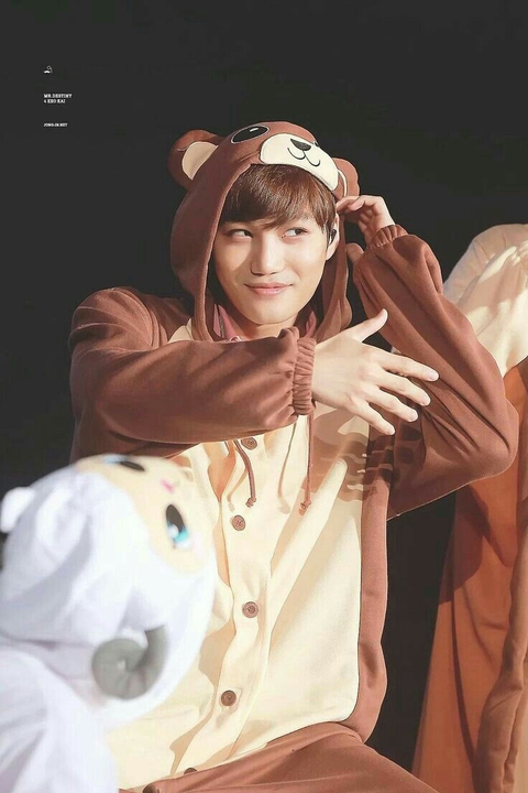 Bear Nini