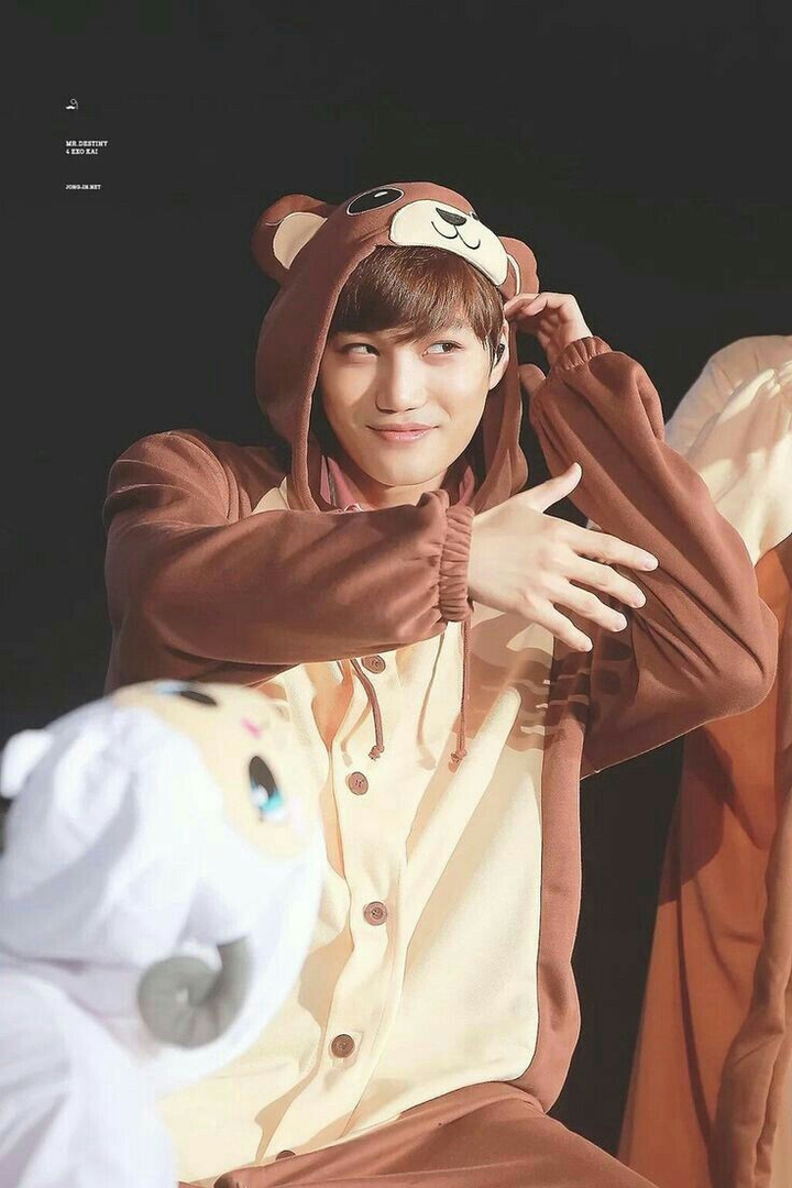 Bear Nini