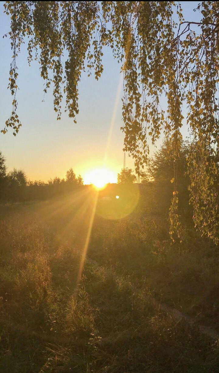 morning