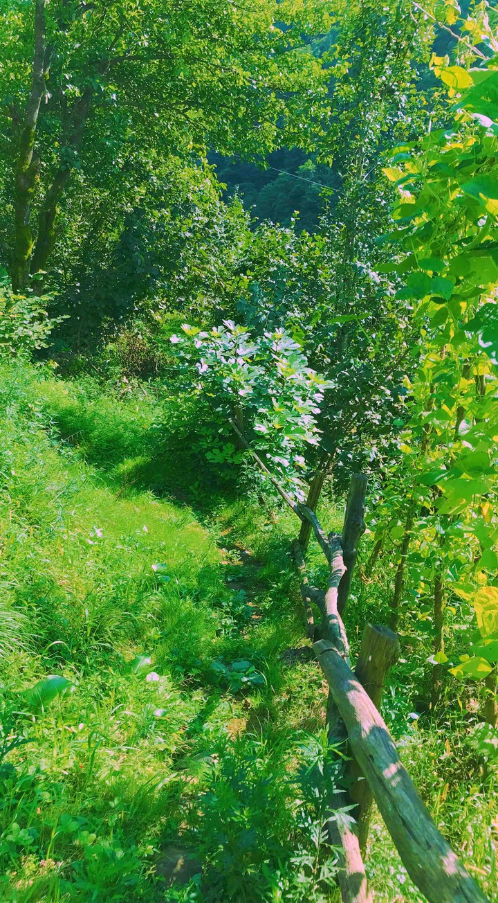 Walking to nowhere.
