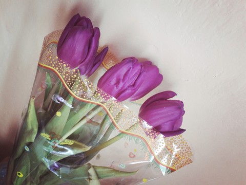 Tulips