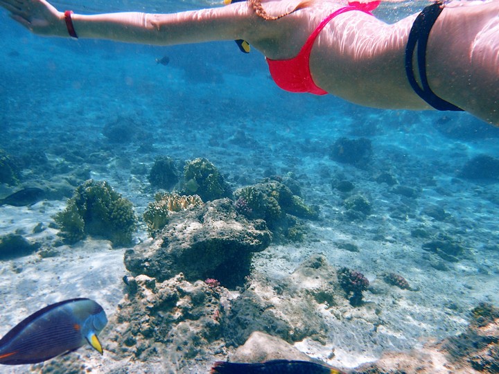 red sea