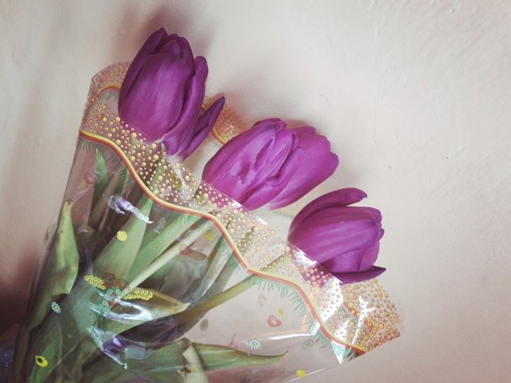 Tulips