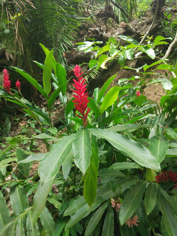 Mexico