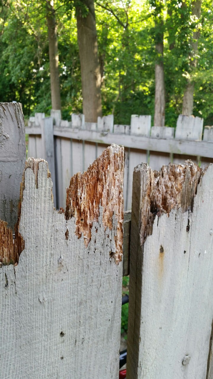 broken fence
