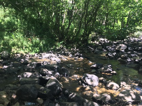 Karadeniz