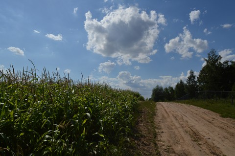 Field